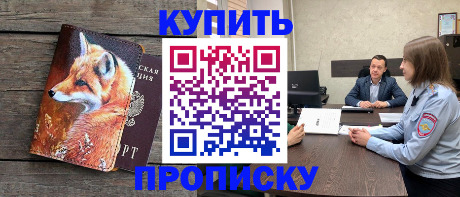 временная регистрация надежно в Камчатской области